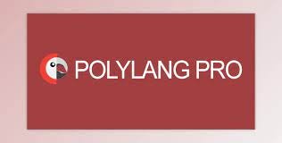 Polylang Pro – Multilingual Plugin